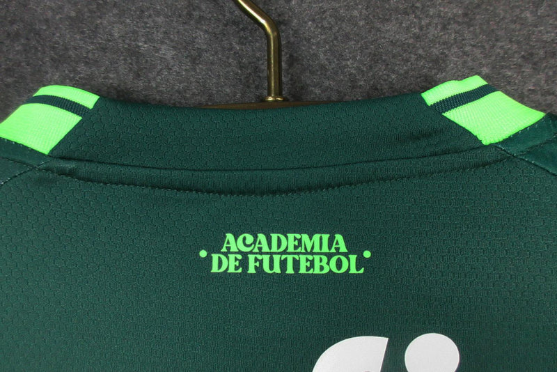 Camisa Puma Palmeiras 2024